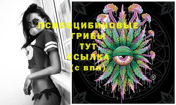 герыч Абаза