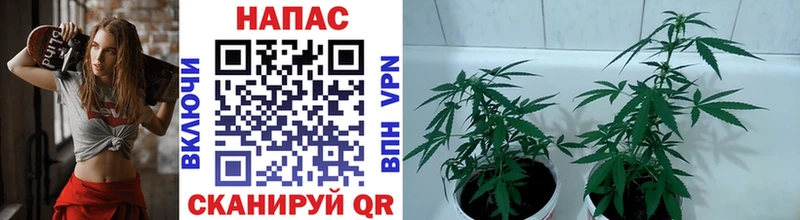 цена наркотик  блэк спрут ONION  Бошки марихуана Ganja  Чита 
